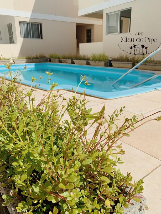 شقة Miau De Pipa Praia de Pipa المظهر الخارجي الصورة
